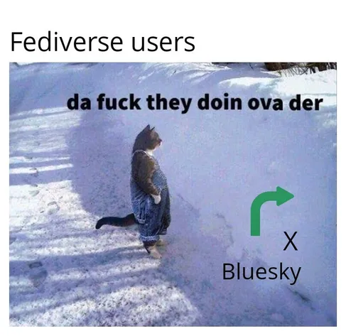 Cat standing in the snow meme.

Caption: Fediverse users.

Cat: da fuck they doin ova der

X and Bluesky outside of picture.