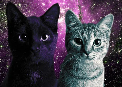 Alt text: A digitally altered image featuring two cats, one with a solid black coat and another with a grey tabby pattern, in front of a cosmic purple and starry background. The black cat has strikingly bright eyes, and both cats are looking directly at the viewer with an almost human-like expression.