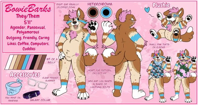 A ref sheet of BowieBarks, david's fursona. The dog is posed front and back, two smaller versions wearing tank tops, an a plush version, as well as accessories. The dog is a mix of tan, beige, and brown, with white, black, pink, and blue accent markings