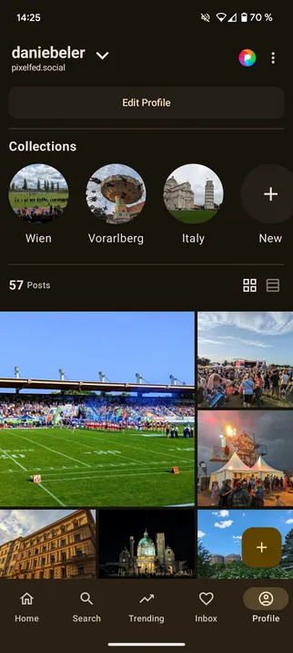Screenshot of profile section of Pixelix.