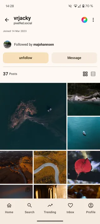 Screenshot of profile section in Pixelix