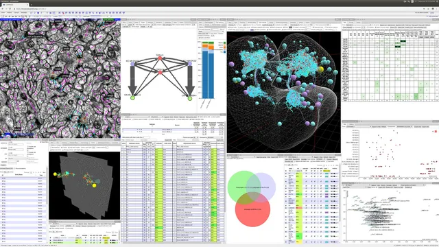 Screenshot of CATMAID software illustrating various widgets to analyze neurons and neuronal circuits.