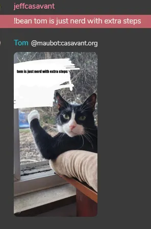 screenshot of matrix chat
jeff: !bean tom is just nerd with extra steps
maubot: [image response] image is of black and white cat pointing at white square that reads "tom is just nerd with extra steps"