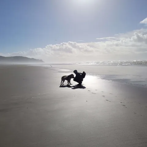 The silhouette of a tall and slender person with a backpack and a hoodie, crouching to interact with a golden retriever wearing a harness on a beach next to the tide, wet sunlit sand, misty hills, and clouds visible behind. The air seems crisp and cold. Photo by @barkingatthemoon@open-source-eschaton.net