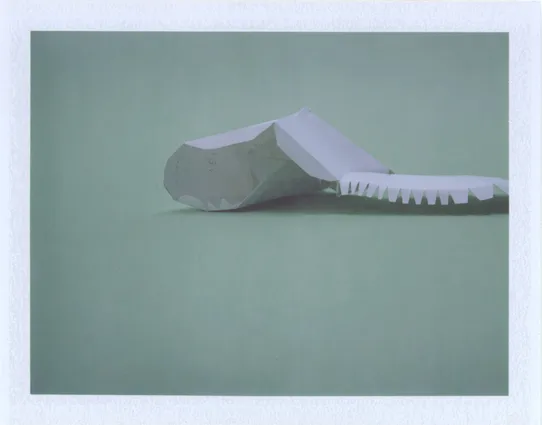 Polaroid photograph of a paper model of an iceberg