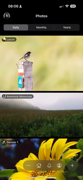 Screenshot from Impressia with trending photos. 