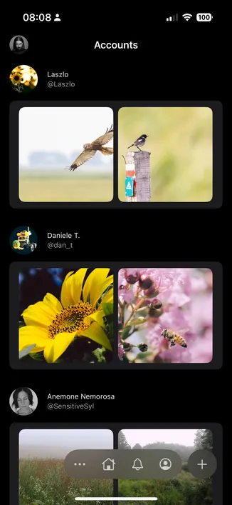 Screenshot from Impressia with trending accounts. 