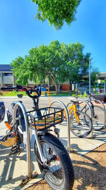 An ebike with a front basket locked on a bike rack. There is a low-rise building and a large, lush tree in the background. Three other bikes are locked up next to my bike.