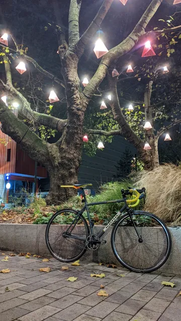 My city bike under some moody lights hanging from some trees in Elephant & Castle in London.