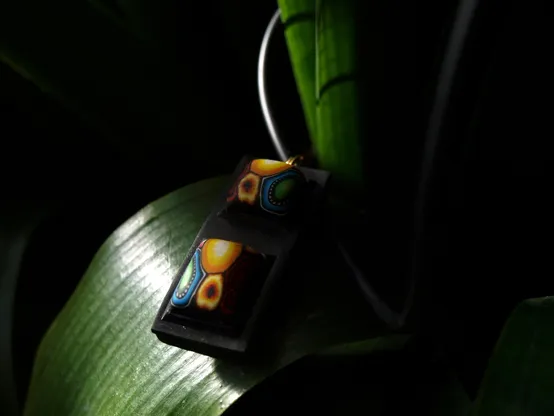 It's a darkish picture of a pendant made from polymer clay placed on a long, dark green leaf. The pendant is rectangular, about 3 cm wide and 12 cm high, the base color is black with two colorful pillowshaped bubbles on top. Best I can do, sorry. Hard to describe!