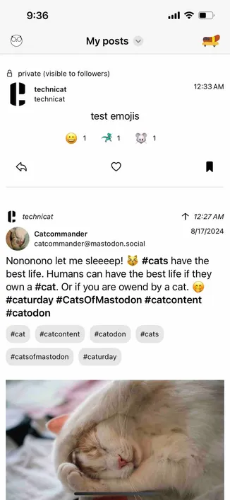 screenshot of timeline with the top post showing three emoji reactions below the post text

Detected text:

9:36My posts& private (visible to followers)technicattechnicat12:33 AMtest emojis11technicatT 12:27 AM8/17/2024Catcommandercatcommander@mastodon.socialNononono let me sleeeep!#cats have thebest life. Humans can have the best life if theyown a #cat. Or if you are owend by a cat.#caturday #CatsOfMastodon #catcontent#catodon#cat#catcontent#catodon#cats#catsofmastodon#caturday