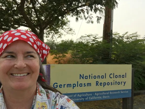 Photo of me wearing an aloha lotería shirt I sewed myself as well as wearing a Rosie the Riveter bandana. I'm smiling while standing in front of the sign for the USDA National Clonal Germplasm Repository in Davis, California.