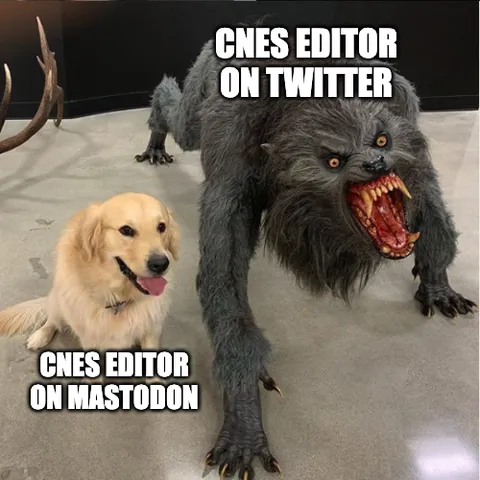 Un gentil labrador à côté d'un loup garou. Le chien représente la community manager du CNES sur Mastodon, le loup garou représente la community manager du CNES sur Twitter.