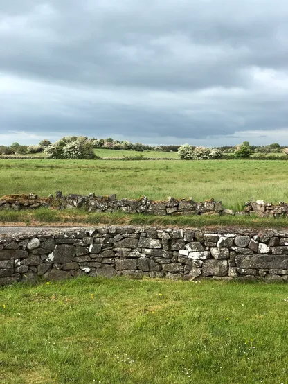 A view across the fields in late spring. There’s a stone wall in the foreground. The grass is green, the sky is overcast and there’s blossom on the trees in the distance.