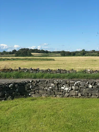 A view across the fields in summer. There’s a stone wall in the foreground. The grass is green in our garden but the fields are yellow, the grass has recently been cut. The sky is blue with a few white fluffy clouds in the distance.