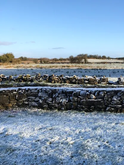 A view across the fields in winter. There’s a stone wall in the foreground. There’s been a very heavy frost, the grass and walls are white, almost as if it’s been snowing. The sky is a brilliant blue. 