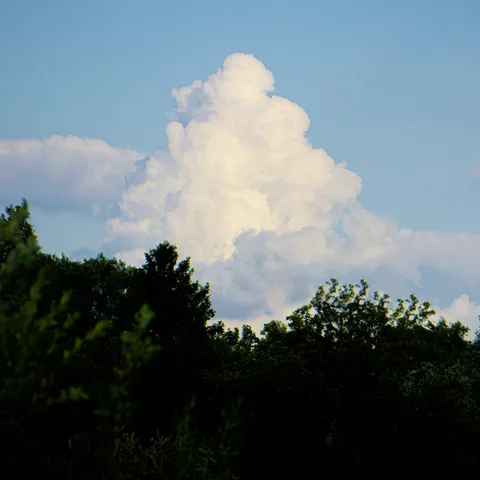 Cover for "Visitations"