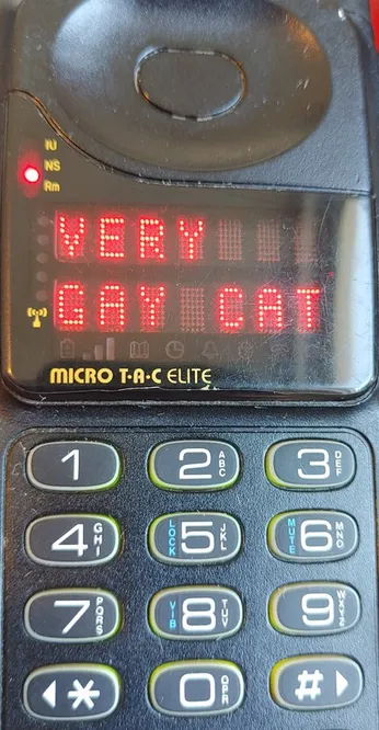 A motorola micro tac elite cellphone displaying on the screen "VERY GAY CAT"