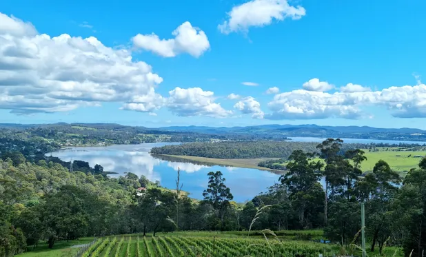 A sweeping bend in the Tamar River seem from a viewing point above. The river reflects the blue skies and white clouds above as it meanders into the distance 