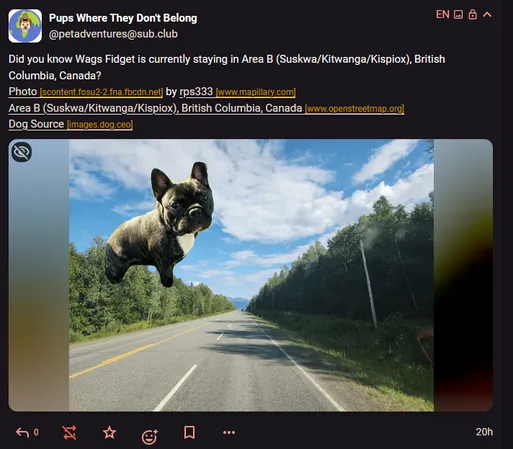 Screenshot of Pups Where They Don't Belong post

Text reads: Did you know Wags is currently staying in Area B, British Columbia, Canada

Photo shows a pug on a road in Canada