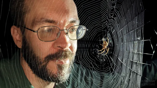 Selfie photo of man with beard and glasses looking at a Tropical Orbwever Spider in her web.