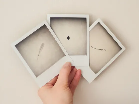 Set of three minimalist black and white Polaroid photographs, fanned out in my hand.

Each Polaroid shows a single object, silhouetted against a textured grey background. One is a feather, one is an egg, and one is a small twig. Each seems to float in mid air in the centre of its frame. Each frame has a small band of darker shadow at the top, fading to a brighter grey in the centre of the frame.