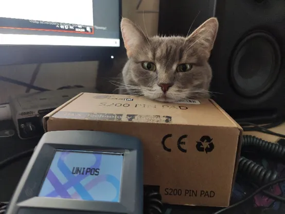 A gray cat peeking its head through a hole in a brown cardboard box labeled "S200 PIN PAD." The box is situated on a desk with a computer monitor in the background and an electronic card payment device in the foreground.