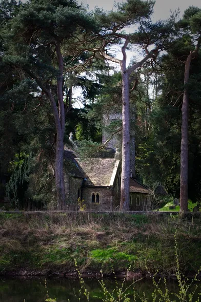 A grey-brick church on the far side of a river, partially obscured by tall, vertical trees