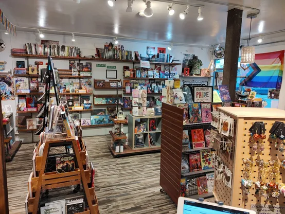 interior wide angle shop of a comic book store, with many comics and art prints on wooden shelves along the walls and on the floor; there is a large progress pride flag on the window of the store