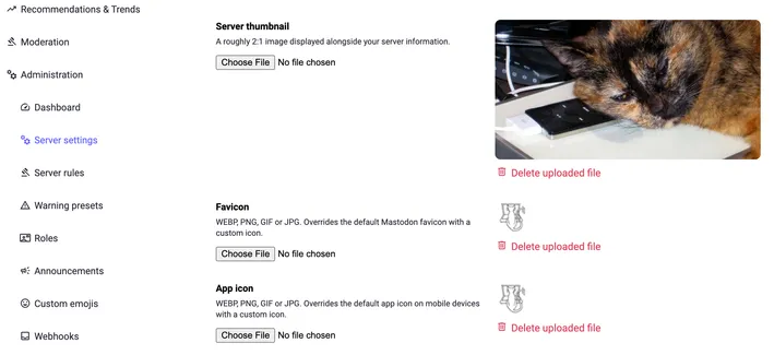 screenshot portion of a mastodon preferences page displaying the instance header, favicon, and app icon options