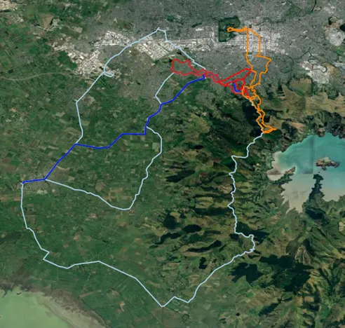 A map of my standard monthly bike (blue) and run (orange-red) routes across Ōtautahi-Christchurch, Aotearoa-New Zealand.