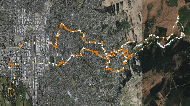 Here are the monarch butterflies (orange) and cabbage white butterflies (white), both exotic species in #AotearoaNZ, that I counted in February 2022 between the Port Hills and the city centre.