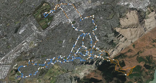 Here are the house sparrows (white) and starlings (blue), both exotic species in #AotearoaNZ, that I counted in February 2022 between the Port Hills and the city centre. Note these species are largely absent from the hills but dominate the suburbs.