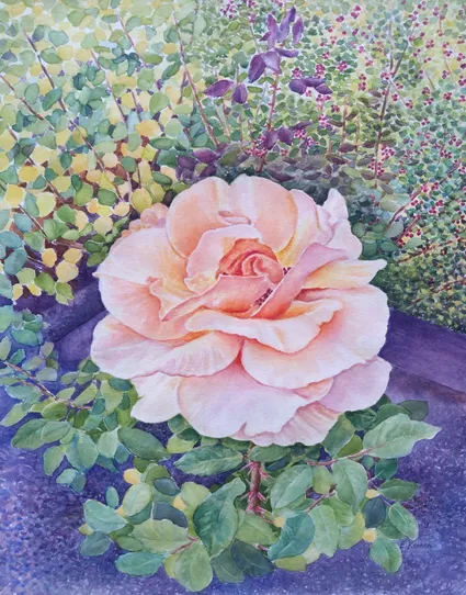 A Peace Rose in a garden. Rose is light orange. Green, purple, yellow leaves around it. Watercolor painting.