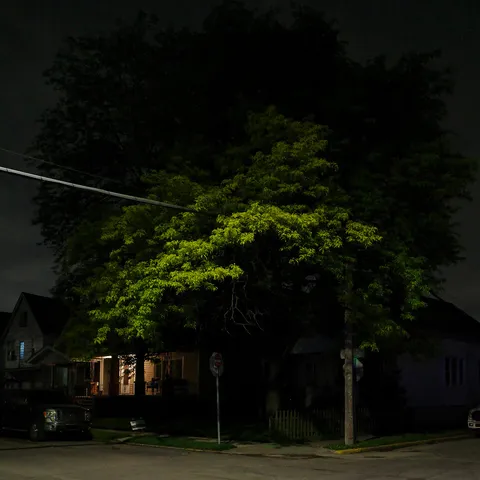 Color photograph of a tree at night on a residential street corner lit brightly by streetlights