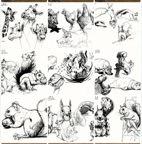a 3 by 3 grid of pages with drawings of animals in black ink