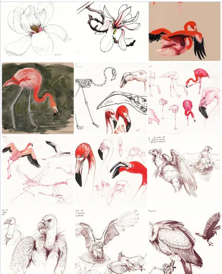 a 4 by 3 grid of drawings of magnolia flowers, flamingos, and vultures, some done in sepia ink, some in black or pink ink, some in watercolor, or a combination of ink and watercolor