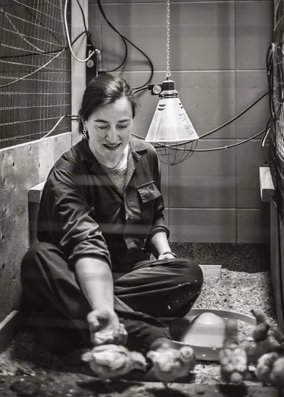 Black and white photo of Rebecca Nordquist sitting on the ground in a stable with chicks in the foreground, hand outstretched toward chicks.