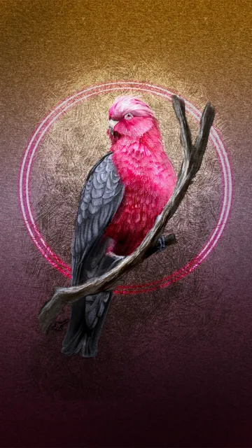 Illustrated phone wallpaper of a Galah Cockatoo bird, perched on a branch looking at the viewer. Behind the bird is a paper texture with a gold brown gradient at the top and a dark pink/plum gradient at the bottom.  Surrounding the bird is crosshatching and a double-halo of pink light.