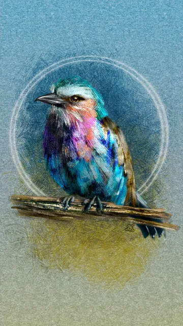 Illustrated phone wallpaper of a Lilac-breasted Roller bird, perched on a branch looking at the viewer. Behind the bird is a paper texture with a bright blue gradient at the top and a soft golden yellow gradient at the bottom.  Surrounding the bird is crosshatching and a double-halo of white light.