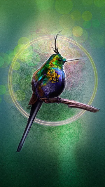 Illustrated phone wallpaper of a Wire-Crested Thorntail Hummingbird, perched on a branch looking to the right. Behind the bird is a green paper texture with bokeh lighting effects and light bleed.  Surrounding the bird is crosshatching and a double-halo of pink and yellow light.