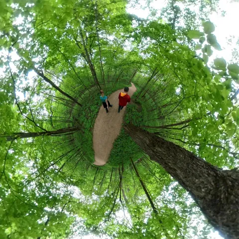 A "tiny planet" photo of Southern Minnesota Guy and Southern Minnesota Gal hiking through a beautiful green forest.