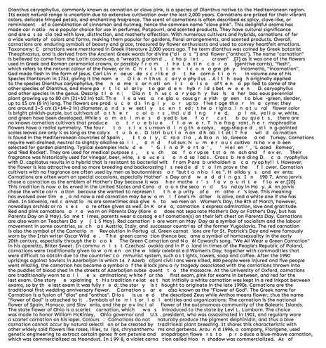 Flower formed with whitespaces in text.