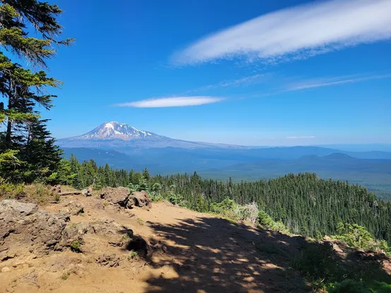 A view of Tahoma (aka Mt Rainier) from a trail in Indian Heaven Wilderness.