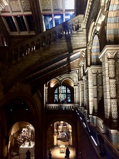 An older photo of the east side of the Central Hall of the Natural History Museum in London, as viewed from the upper west side near the entrance at night. The scene is a mixture of shadow and brightly lit areas from spot and other lighting. The ornate, terracotta-tiled architecture dominates the photo, with columns, church-like alcoves, and arches curving across the view. In the bottom-left corner, an alcove is visible containing an elephant-like skeleton with its large head and curved tusks pointing out into the hall.