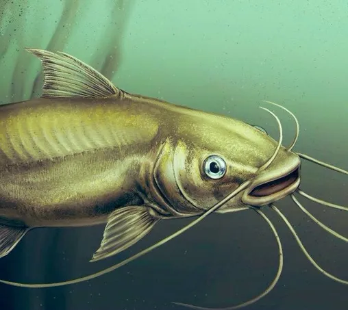 Digital illustration of a golden-greenish catfish with blue eyes against a murky background.