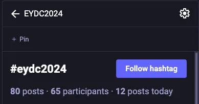A search results column for the tag #EYCD2024 on Mastodon after clicking the gear icon, with the clickable link to "Pin" the column.