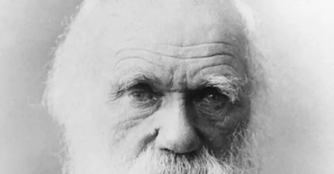 Charles Darwin's eyes