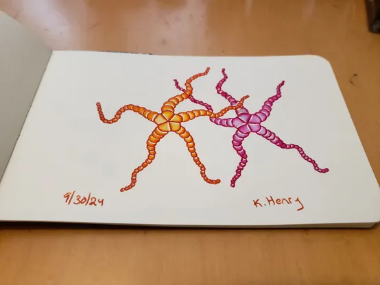 Hand drawn generative/procedural art in ink on an open page of my sketchbook. The abstract pattern looks a bit like two brightly colored starfish dancing with joy.