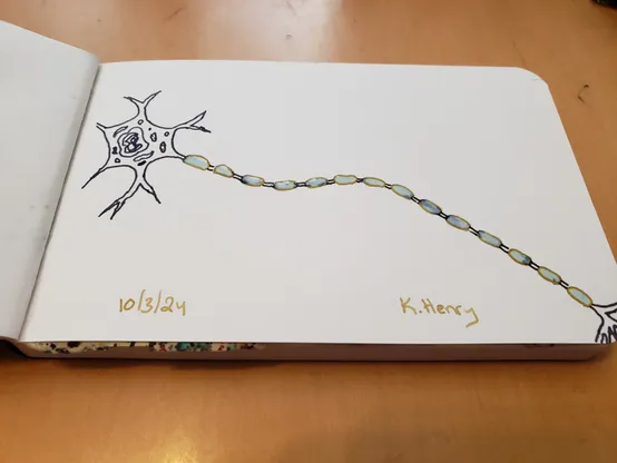Hand drawn generative/procedural art in ink on an open page of my sketchbook.

The abstract pattern is inspired by nerve cells.